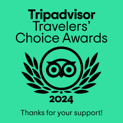 Travelers Choice 2024